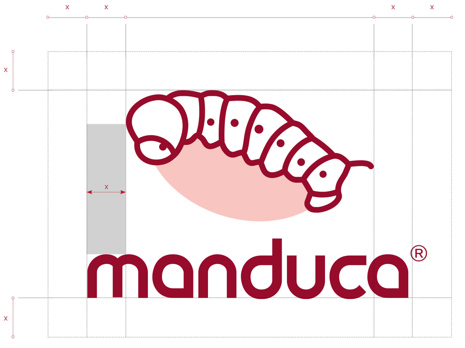 manduca. Das Design
