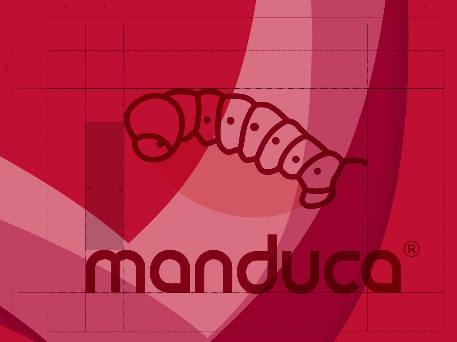 manduca. Das Design