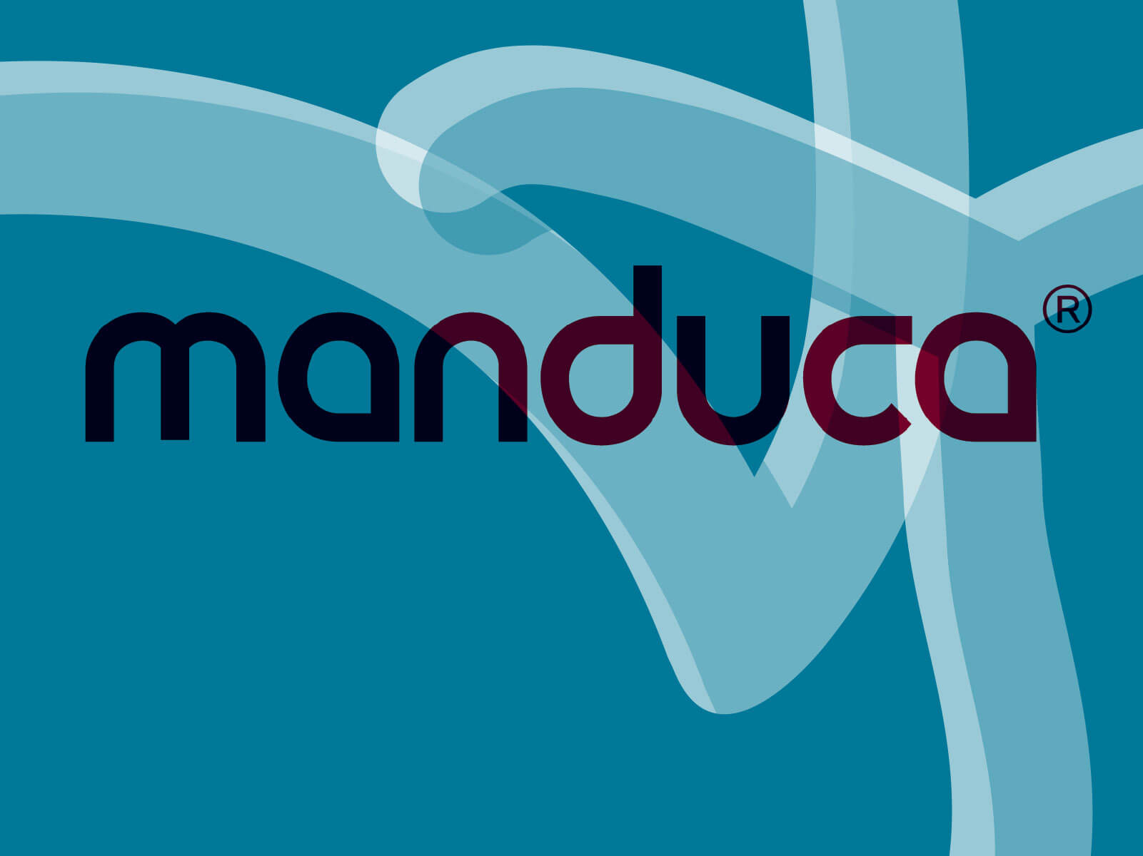 manduca. Das Design